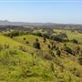 Coolamon Scenic Drive in the Byron Bay Hinterlands