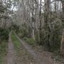 Cudgen Creek