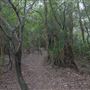 Tyagarah Nature Reserve