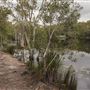Tyagarah Nature Reserve