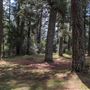 Jenolan State Forest