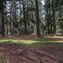 Jenolan State Forest