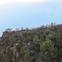 Lincoln's Rock - Blue Mountains