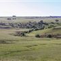 Taralga countryside