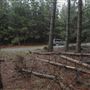 Dingo Road Arboretum - Vulcan State Forest