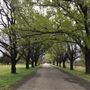 East Tamworth