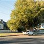 Tamworth
