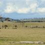 Armidale