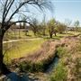 Quirindi