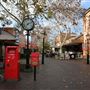 Windsor
