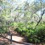 The Australian Reptile Park