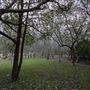 Burnum Burnum Sanctuary