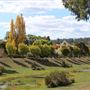 Walcha