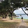 Nielsen Park