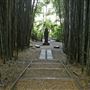 Crystal Castle - Bamboo Avenue