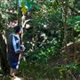 Glengariff Estate Rainforest