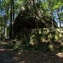Glengariff Estate Rainforest