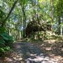 Glengariff Estate Rainforest
