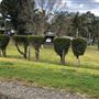 Milton Valley Holiday Park