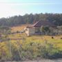 Pambula Area Farms
