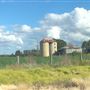 Bolong Farms