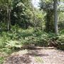 Otford Farm - Paintball Property