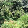Otford Farm - Paintball Property