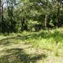 Otford Farm - Jungle Set Build Site