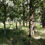 Otford Farm - Jungle Set Build Site