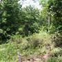 Otford Farm - Jungle Set Build Site