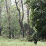 Otford Farm - Jungle Set Build Site