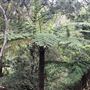 Otford Farm - The Pines Paddock with Jungle Gully