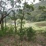 Otford Farm - 40 Acres Paddock