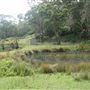 Otford Farm - 40 Acres Paddock