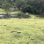 Otford Farm - 40 Acres Paddock