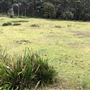 Otford Farm - 40 Acres Paddock
