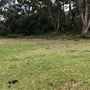 Otford Farm - 40 Acres Paddock