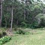 Otford Farm - 40 Acres Paddock