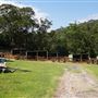Otford Farm - Horse Farm