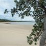 Trial Bay Gaol Campground & Front Beach - Arakoon National Park