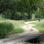 Hidden Creek