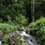Hidden Creek