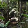 Hidden Creek