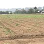 Greater Sydney Local Land Services Demonstration Farm