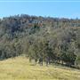 Hunter Valley Farm