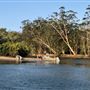 Brunswick River