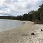 Swan Lake - Swanhaven