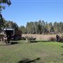 Saluti Cafe at Lizard Log - Western Sydney Parklands