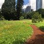 Royal Botanic Garden Sydney