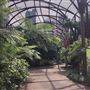 Royal Botanic Garden Sydney
